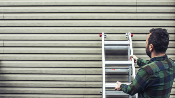 Trusted Sheldon, IL Siding Services Experts