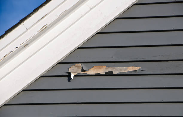 Best Insulated Siding Installation  in Sheldon, IL