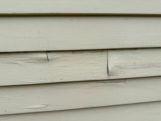 Best Storm Damage Siding Repair  in Sheldon, IL